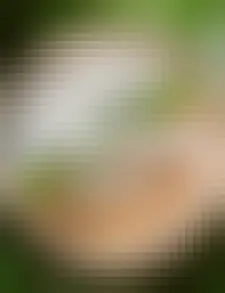 Hiša Franko has been listed on The World&#039;s 50 Best Restaurants List eight years in a row