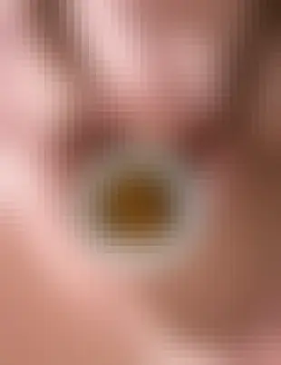 Lunch &amp; Dinner Menu