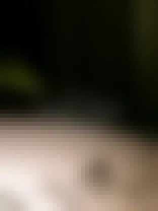 Smo na zimskem premoru do 14. februarja