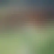 Rezervacije za leto  2025 so odprte