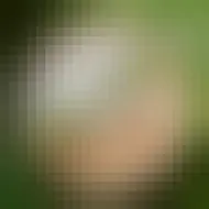 Hiša Franko has been listed on The World&#039;s 50 Best Restaurants List eight years in a row