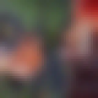 Photo credits: Primož Lukežič